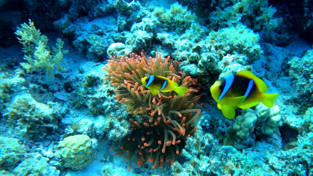 GH013575 1573578562176 High 1 1024x576