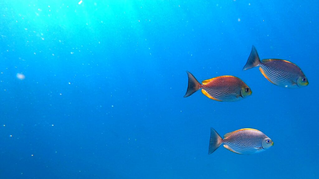 GH015091 1680201846773 1024x576