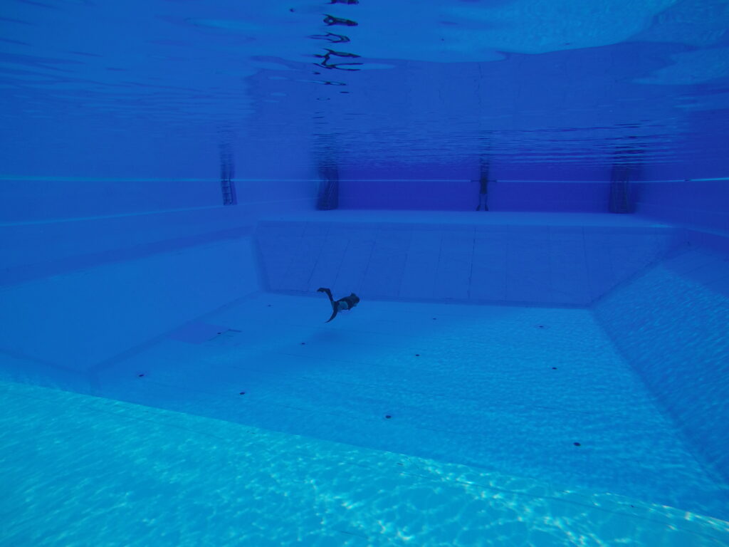 dcim100goprogopr2088.