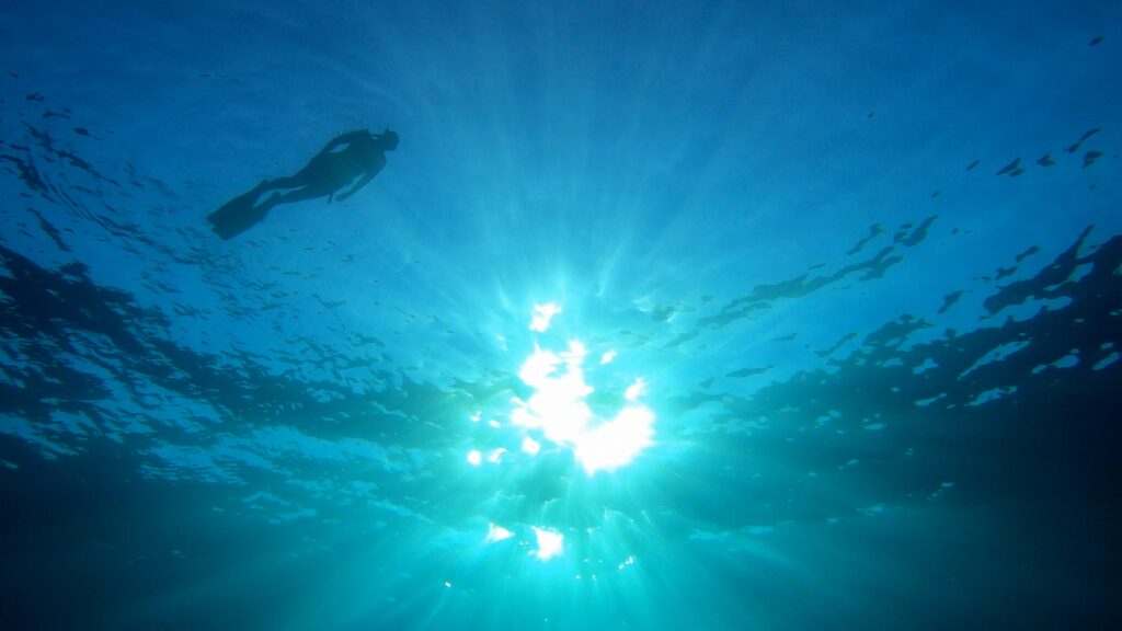 gpmediametadata 1728756124293